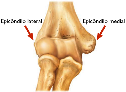 Epicôndilos medial e lateral