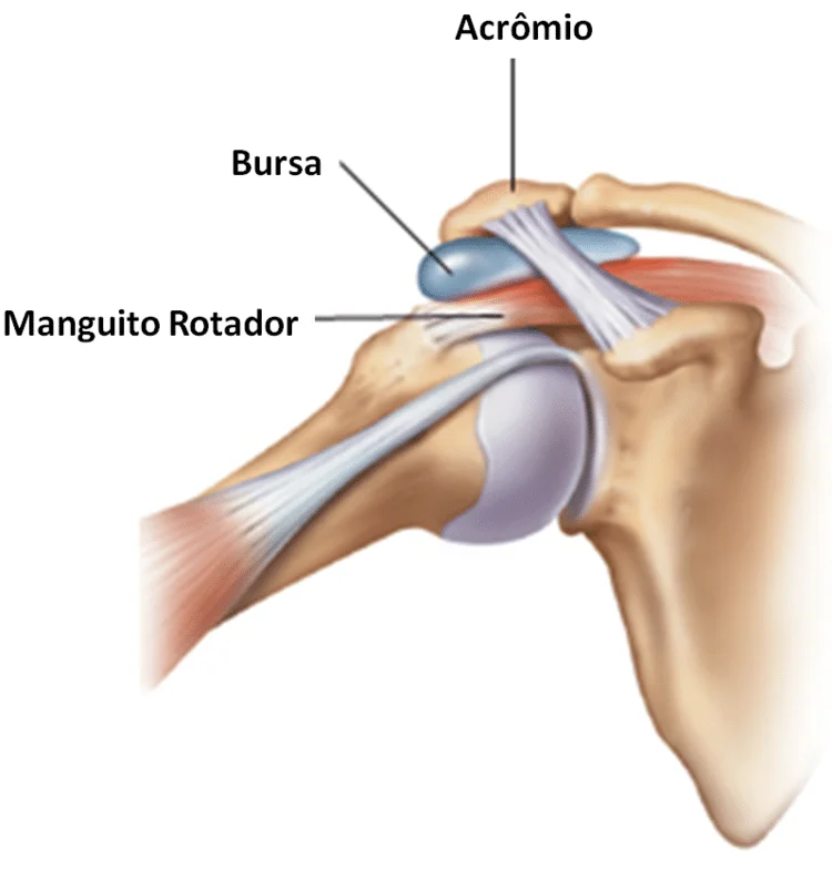 Bursa subacromial subdeltoide